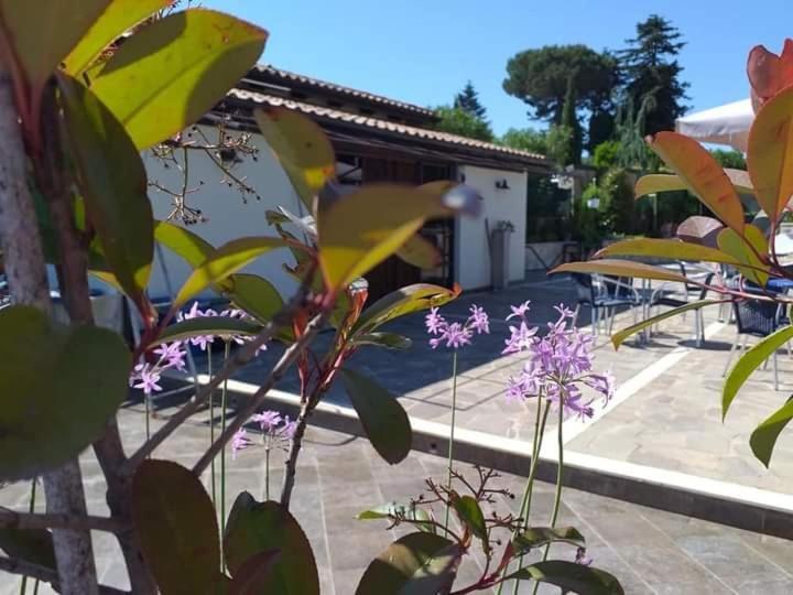 Borgo Nicoletta Case Per Le Vacanze Filandari ภายนอก รูปภาพ